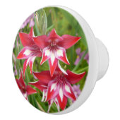 Rood en Wit Gladiolas Zomer Botanisch Keramische Knop (Rechts)