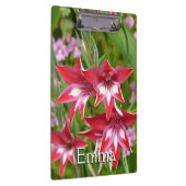 Rood en Wit Gladiolas Zomer Botanisch Klembord (Rechts)