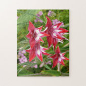 Rood en Wit Gladiolas Zomer Botanisch Legpuzzel (Verticaal)