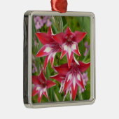 Rood en Wit Gladiolas Zomer Botanisch Metalen Ornament (Rechts)