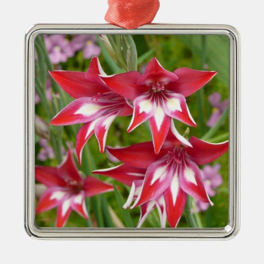 Rood en Wit Gladiolas Zomer Botanisch Metalen Ornament (Voorkant)