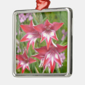 Rood en Wit Gladiolas Zomer Botanisch Metalen Ornament (Links)
