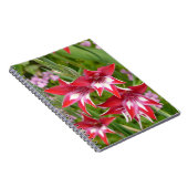 Rood en Wit Gladiolas Zomer Botanisch Notitieboek (Rechterzijde)