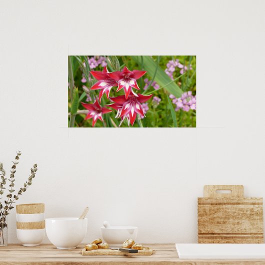 Rood en Wit Gladiolas Zomer Botanisch Poster (Keuken)