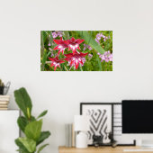 Rood en Wit Gladiolas Zomer Botanisch Poster (Thuiskantoor)