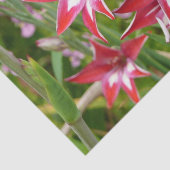 Rood en Wit Gladiolas Zomer Botanisch Tissuepapier (Detail)
