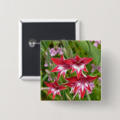 Rood en Wit Gladiolas Zomer Botanisch Vierkante Button 5,1 Cm (Voorkant /achterkant)
