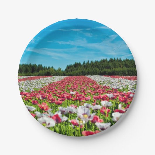 Rood en Wit Klaprozenveld Papieren Bordje (Voorkant)
