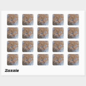 Rood en wit, langharig, kat met tablet vierkante sticker (Vel)