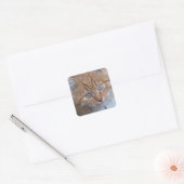Rood en wit, langharig, kat met tablet vierkante sticker (Envelop)
