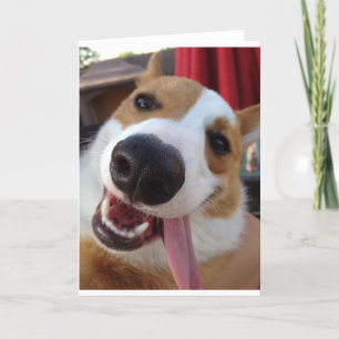 Rood en wit Pembroke Welsh Corgi Kaart