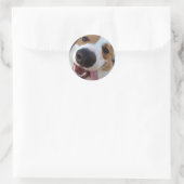 Rood en wit Pembroke Welsh Corgi Ronde Sticker (Tas)