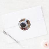 Rood en wit Pembroke Welsh Corgi Ronde Sticker (Envelop)
