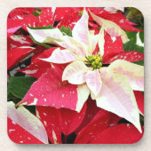 Rood en wit poinsettia Holiday Beverage Coaster Bier Onderzetter (Voorkant)