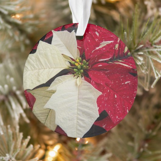 Rood en wit Poinsettia Holiday Ornament (Boom)