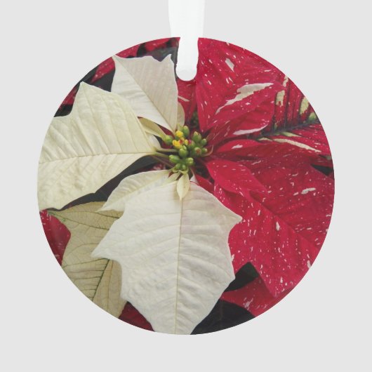 Rood en wit Poinsettia Holiday Ornament (achterkant)