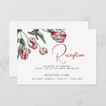 Rood en wit Rembrandt Tulpen