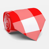 Rood en Wit Reuzengrootte Gingham controleert Stro Stropdas (Opgerold)