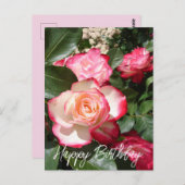 Rood en wit Roos Bloemen Bloemen Rozen Kaart (Voorkant / Achterkant)