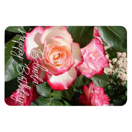 Rood en wit Roos Bloemen Bloemen Rozen Kaart Magneet (Horizontaal)