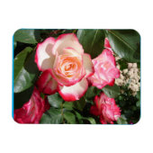 Rood en wit Roos Bloemen Bloemen Rozen Kaart Magneet (Horizontaal)