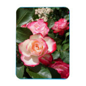 Rood en wit Roos Bloemen Bloemen Rozen Kaart Magneet (Verticaal)