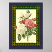 Rood en wit Roos Botanisch Poster (Voorkant)