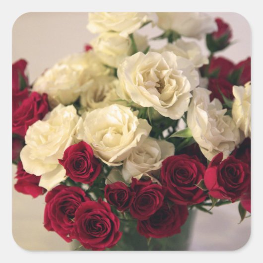 Rood en wit roos vierkante sticker (Voorkant)