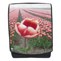 Rood en wit Tulp op Tulps Field Adult-rugzak