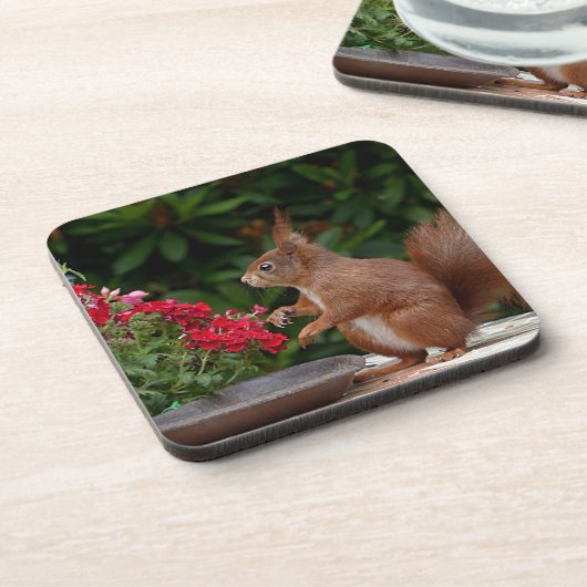 Rood- en witeekhoorn met rode bloem-Struik Bier Onderzetter (Linkerzijde)