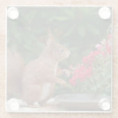 Rood- en witeekhoorn met rode bloem-Struik Glazen Onderzetter (Achterkant)