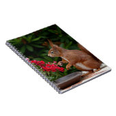 Rood- en witeekhoorn met rode bloem-Struik Notitieboek (Rechterzijde)