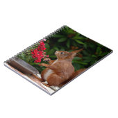 Rood- en witeekhoorn met rode bloem-Struik Notitieboek (Linkerzijde)