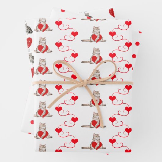 Rood- en witkat-evaluatie van Valentijn-cadeauverp Inpakpapier Vel (In situ)