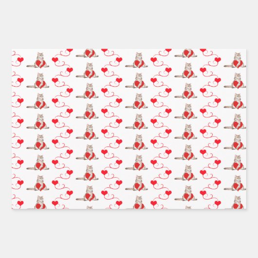 Rood- en witkat-evaluatie van Valentijn-cadeauverp Inpakpapier Vel (Voorkant)