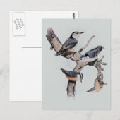 Rood- en witte gebrande noten briefkaart (Voorkant / Achterkant)