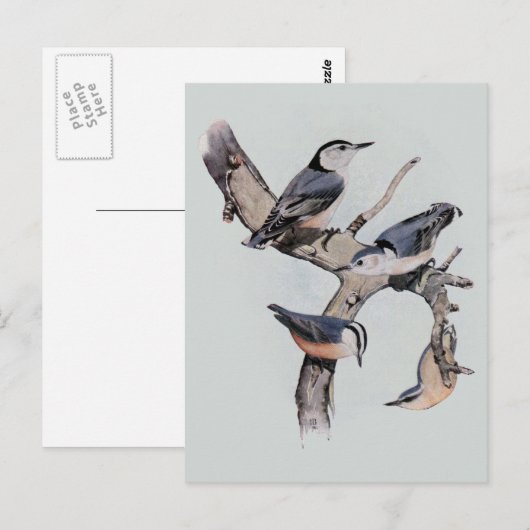 Rood- en witte gebrande noten briefkaart (Voorkant / Achterkant)