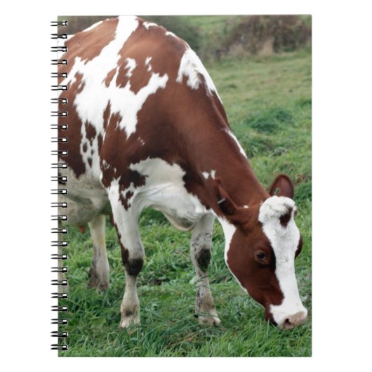 Rood- en Witte Holstein-beweiding Notitieboek (Voorkant)