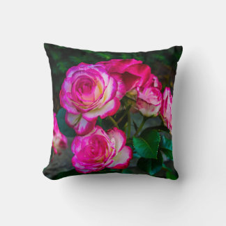 Rood- en witte rosebuds kussen