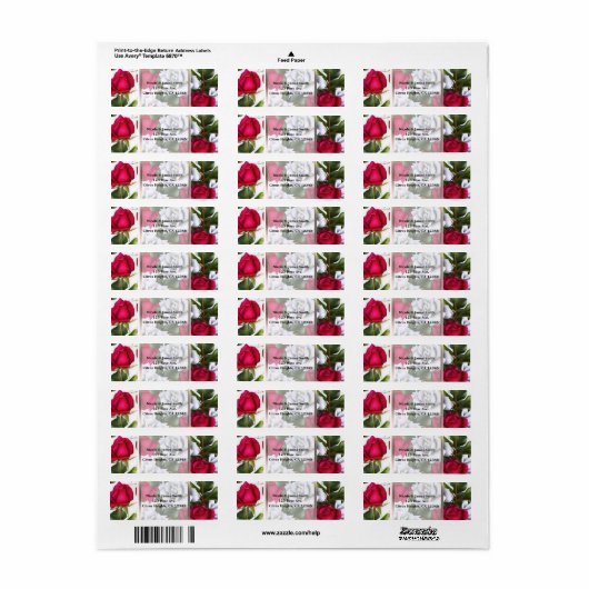 Rood- en witte rozen Shabby Chic Rustic Modern Gla Etiket (Full Sheet)