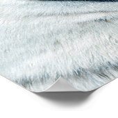 Rood- en witte tijgers die elkaar tegenkomen poster (Hoek)