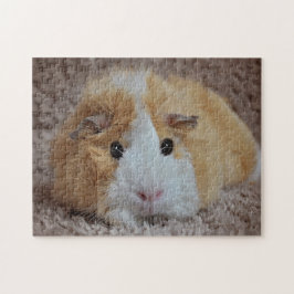 Rood- en wittepoten legpuzzel
