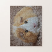 Rood- en wittepoten legpuzzel (Verticaal)