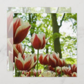 Rood- en witTulpen DSC0869 Save The Date (Voorkant / Achterkant)