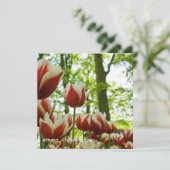 Rood- en witTulpen DSC0869 Save The Date (Staand voorkant)