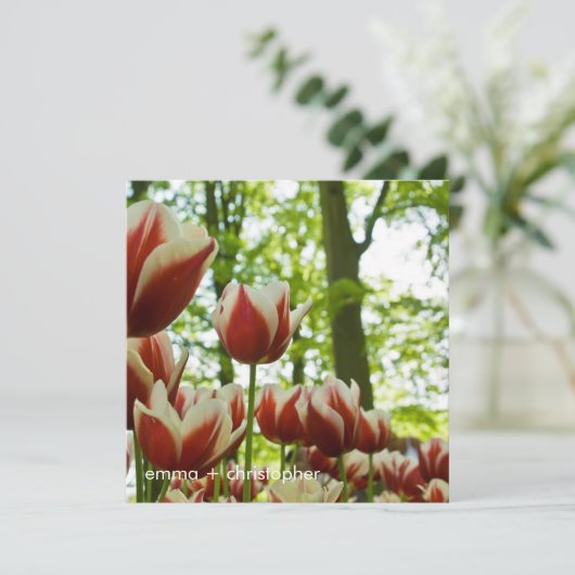 Rood- en witTulpen DSC0869 Save The Date (Staand voorkant)