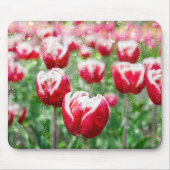 Rood- en witTulpen met regendruppels Muismat (Voorkant)