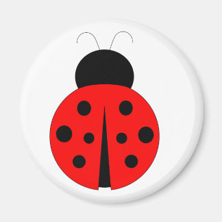Rood en zwart Ladybug Magneet