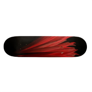 Rood en zwart ontwerp skateboard