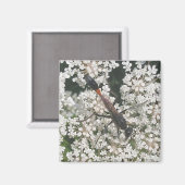 Rood- en zwart Wasp Magnet (Voorkant / Achterkant)